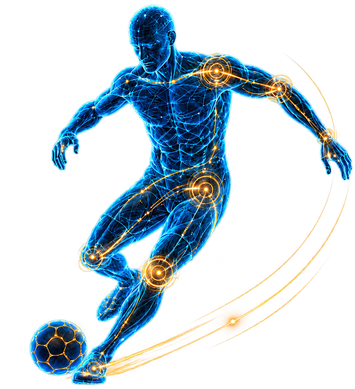Hareket eden sporcunun anatomik illüstrasyonu